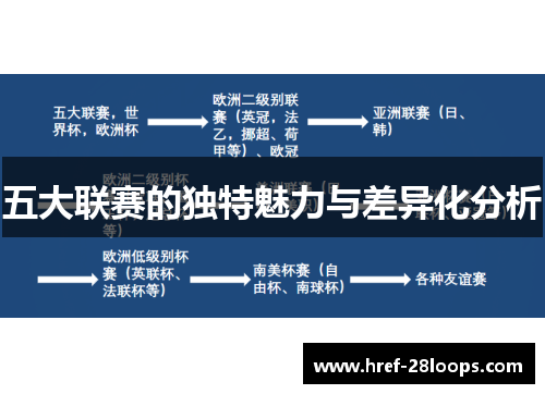 五大联赛的独特魅力与差异化分析
